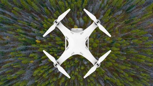 p-1-90405143-this-startup-plans-to-plant-millions-of-trees-with-drones-to-fight-climate-change